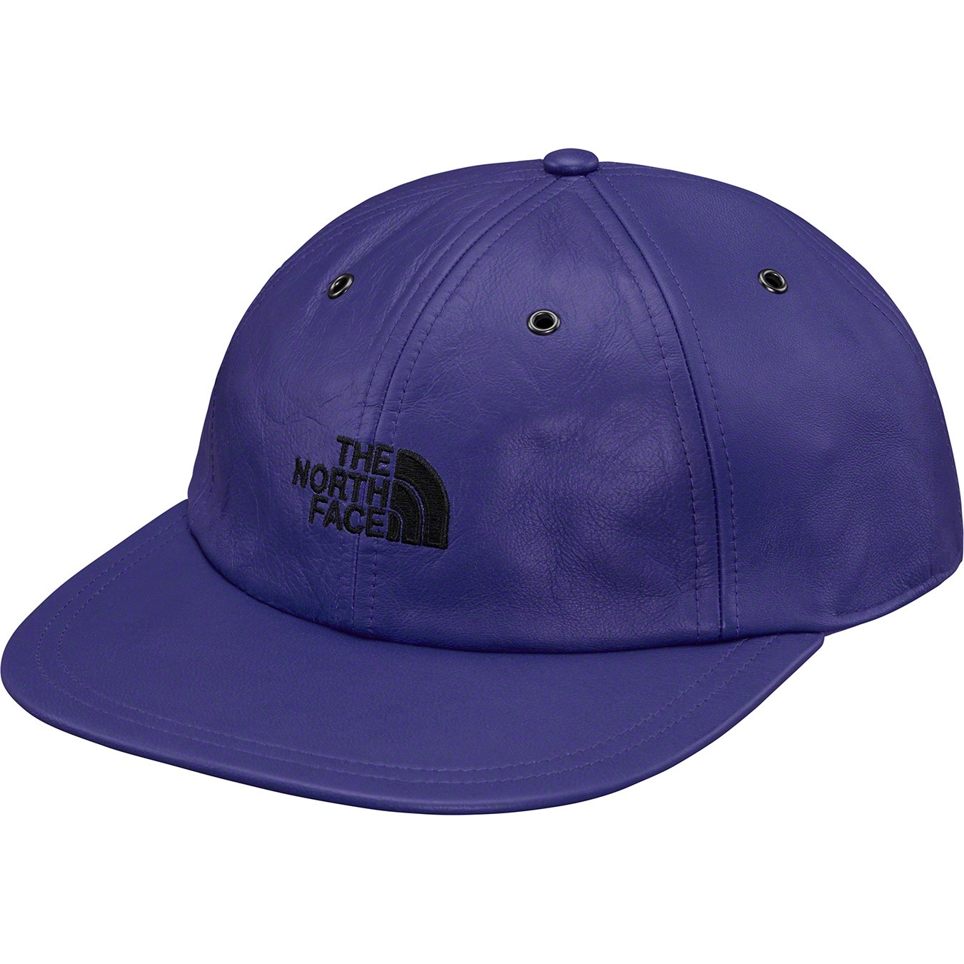 Supreme®/The North Face® Leather 6-Panel view 2